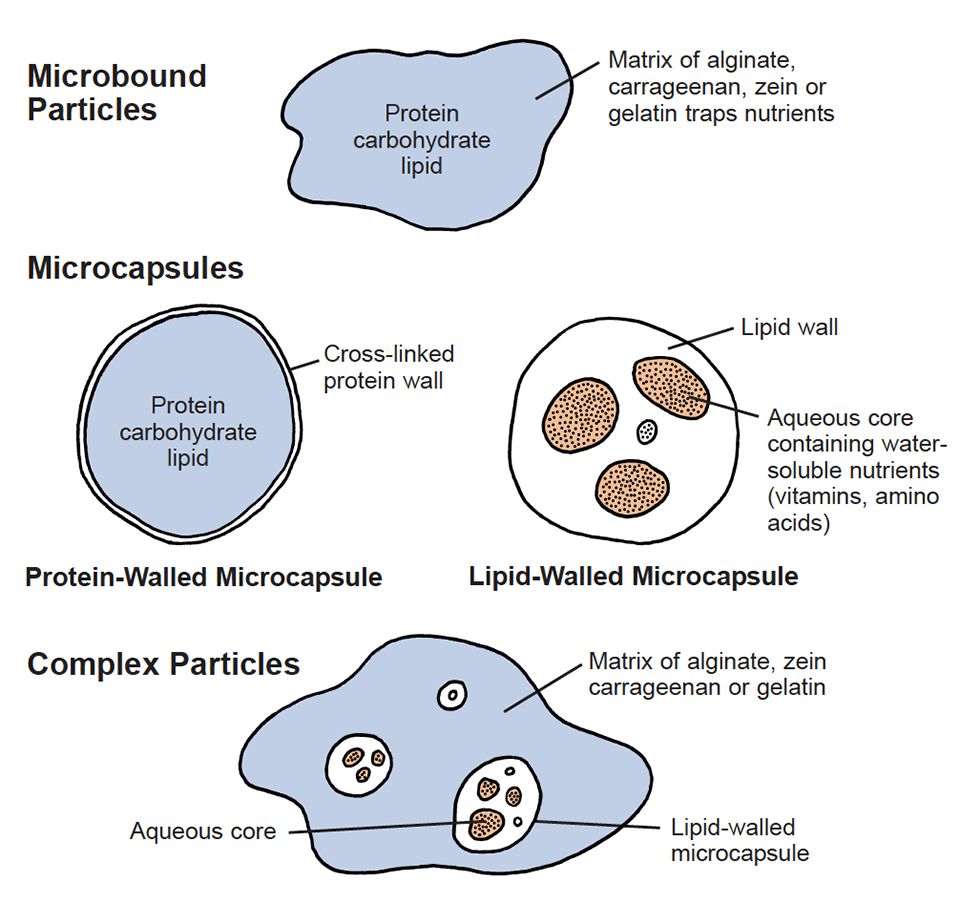 Artificial microparticles