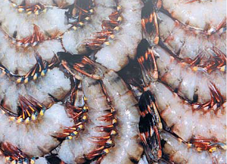 Shrimp product diversification