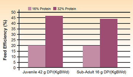 protein management