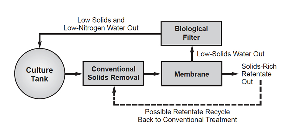 Membrane filtration