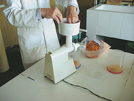 dried artemia