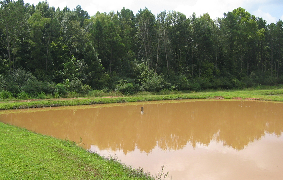 muddy ponds