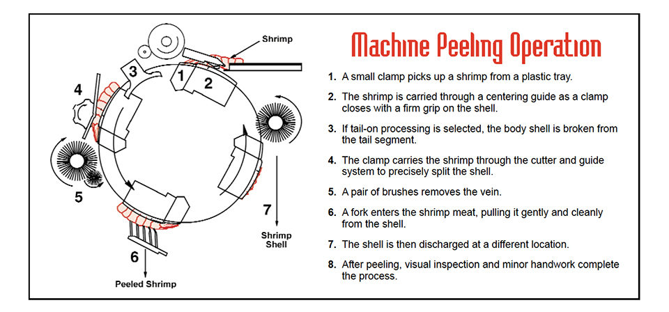 machine peeling