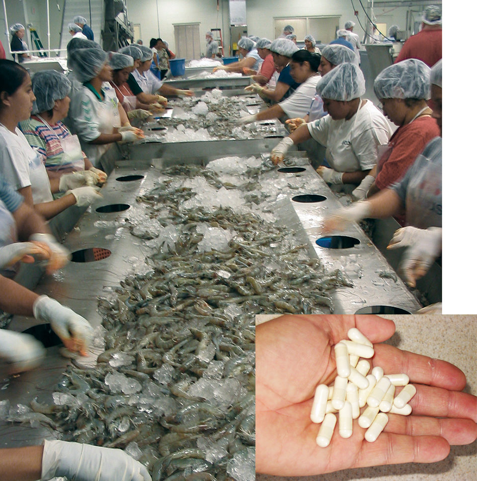 Shrimp processing byproducts