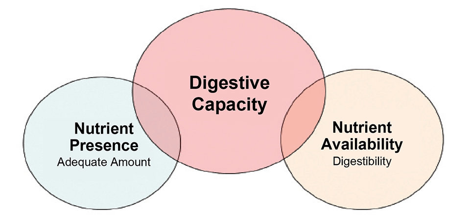digestive capacity