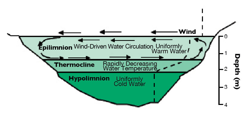 Water temperature