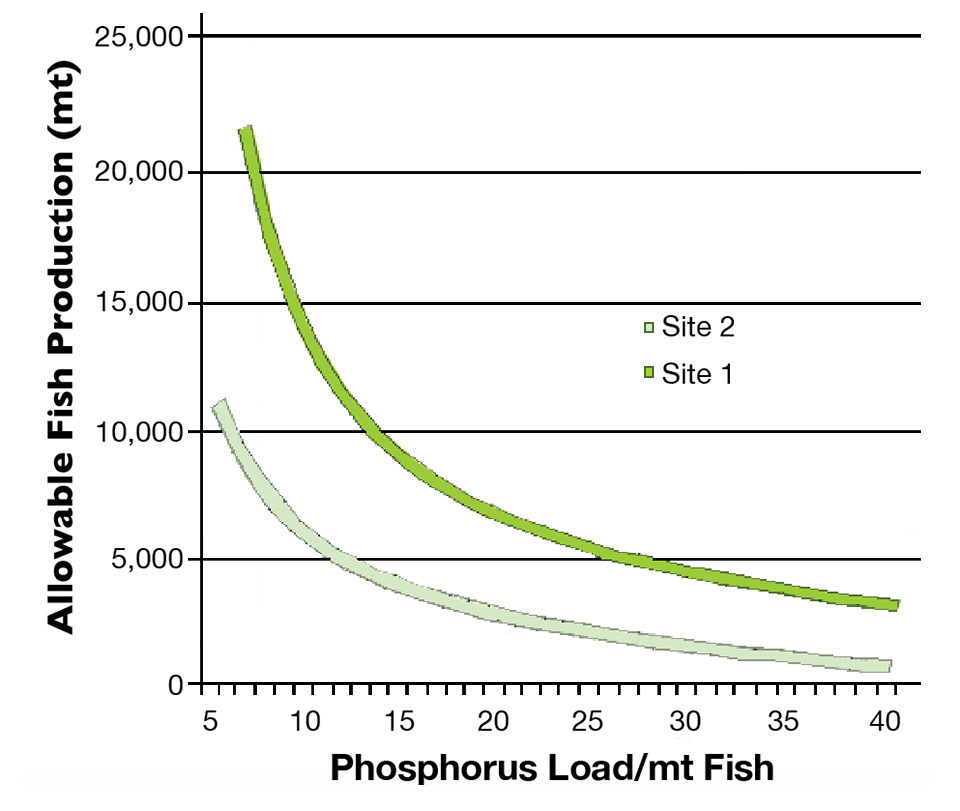 phosphorus loads