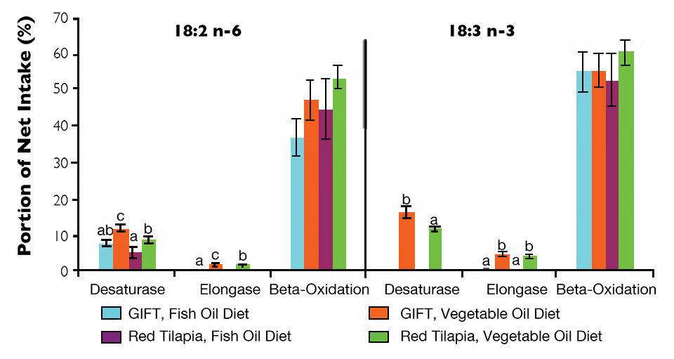 fish oil diet