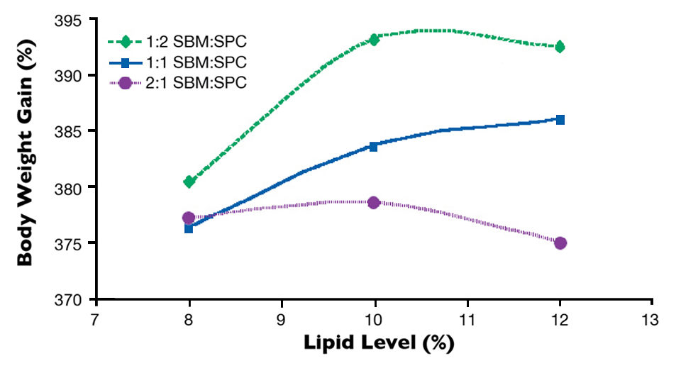 lipid levels