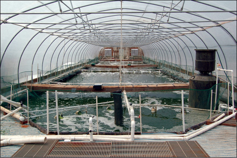 Waddell Mariculture Center