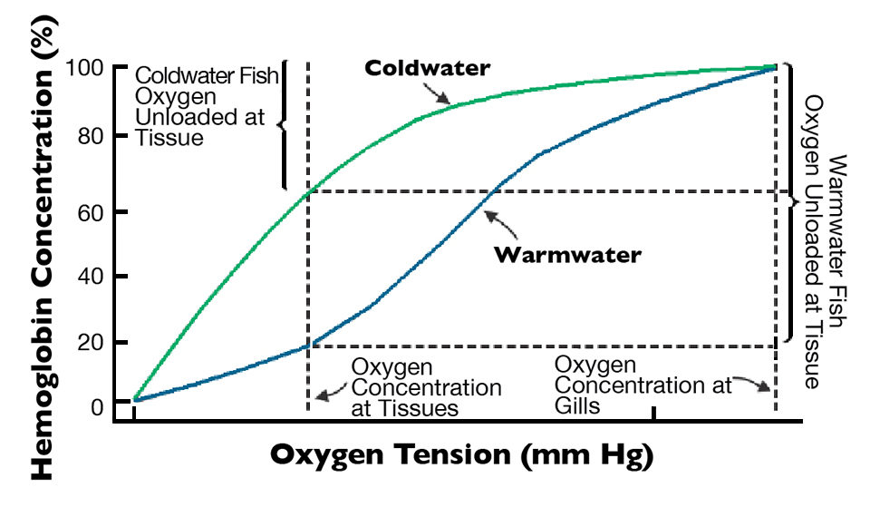 how to calculate oxygen consumption per hour