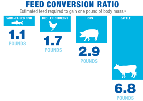 Cattle Feed Conversion Charts