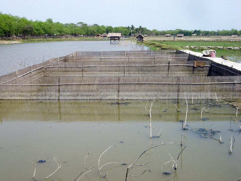 Coastal aquaculture