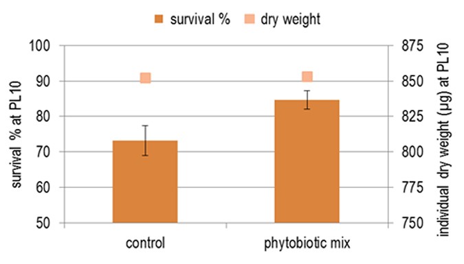 Fig 4. Enhanced shrimp survival during the hatchery cycle by applying various plant extracts. 