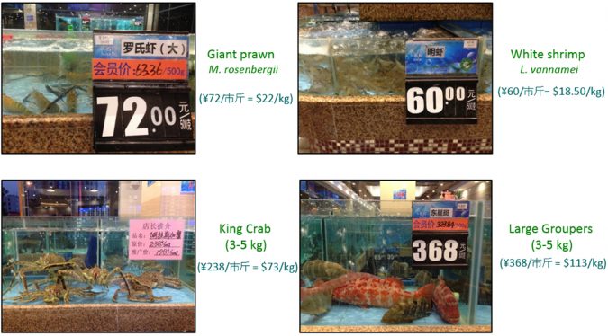 Fig. 2. Recent (2016) retail prices for seafood at a mid-range seafood restaurant in Zhongshan, China. Prices range from $19-23/kg. for giant freshwater prawns and Pacific white shrimp, to upwards of $73/kg. for Alaska king crab and $113/kg. for various groupers. Chinese consumers purchase the entire animal, so a single dish of grouper can cost up to $565, as one of eight dishes traditionally served at dinner. More expensive species are also common. Photos by Anthony Ostrowski. 