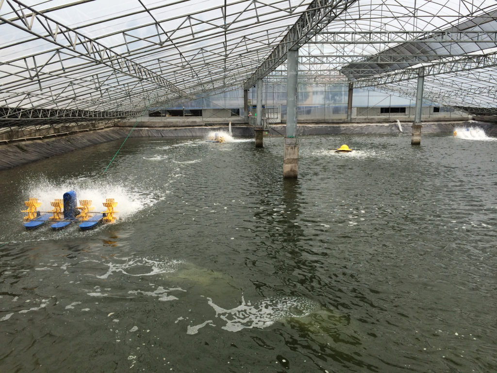 aquaculture expansion