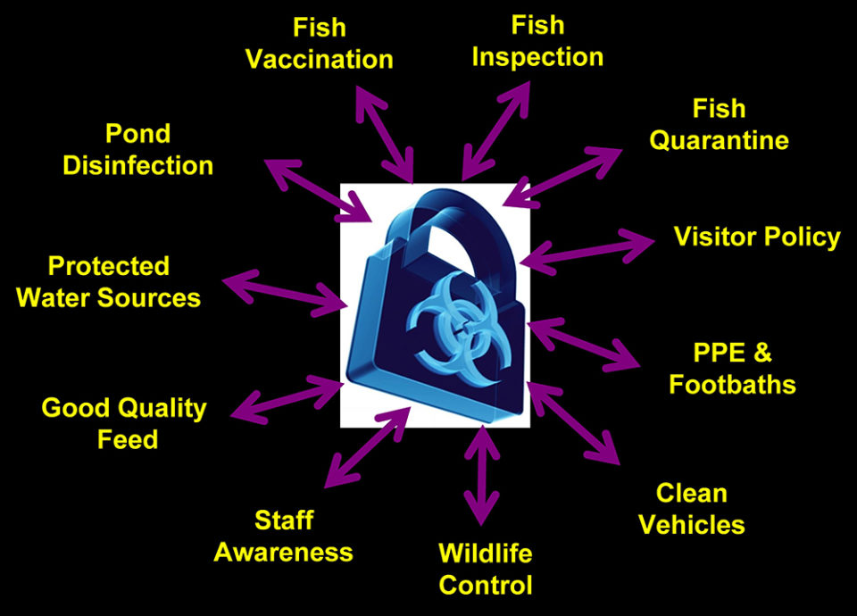 biosecurity plan aquaculture