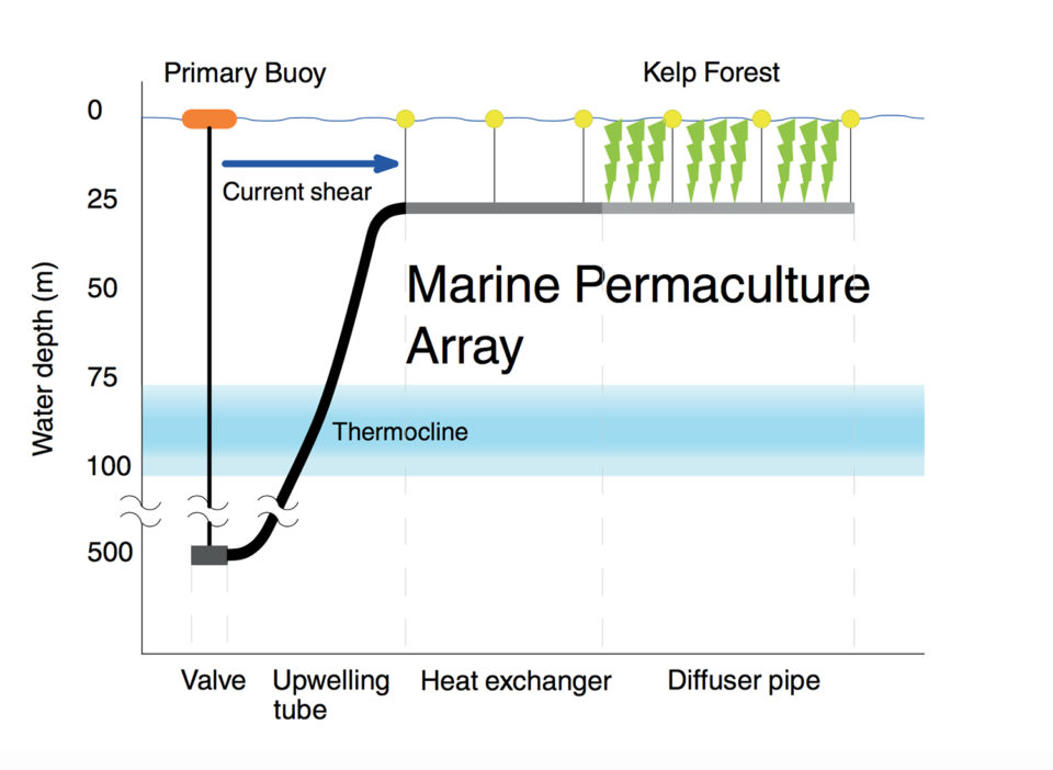 ocean permaculture Climate Foundation