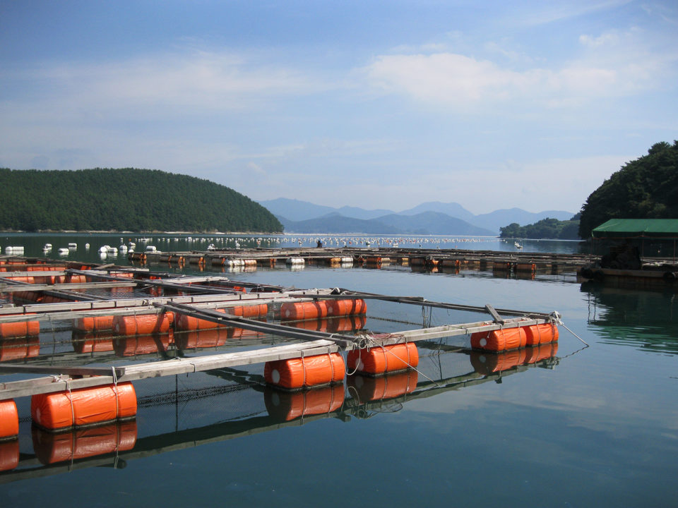 hot spots in the ocean aquaculture production