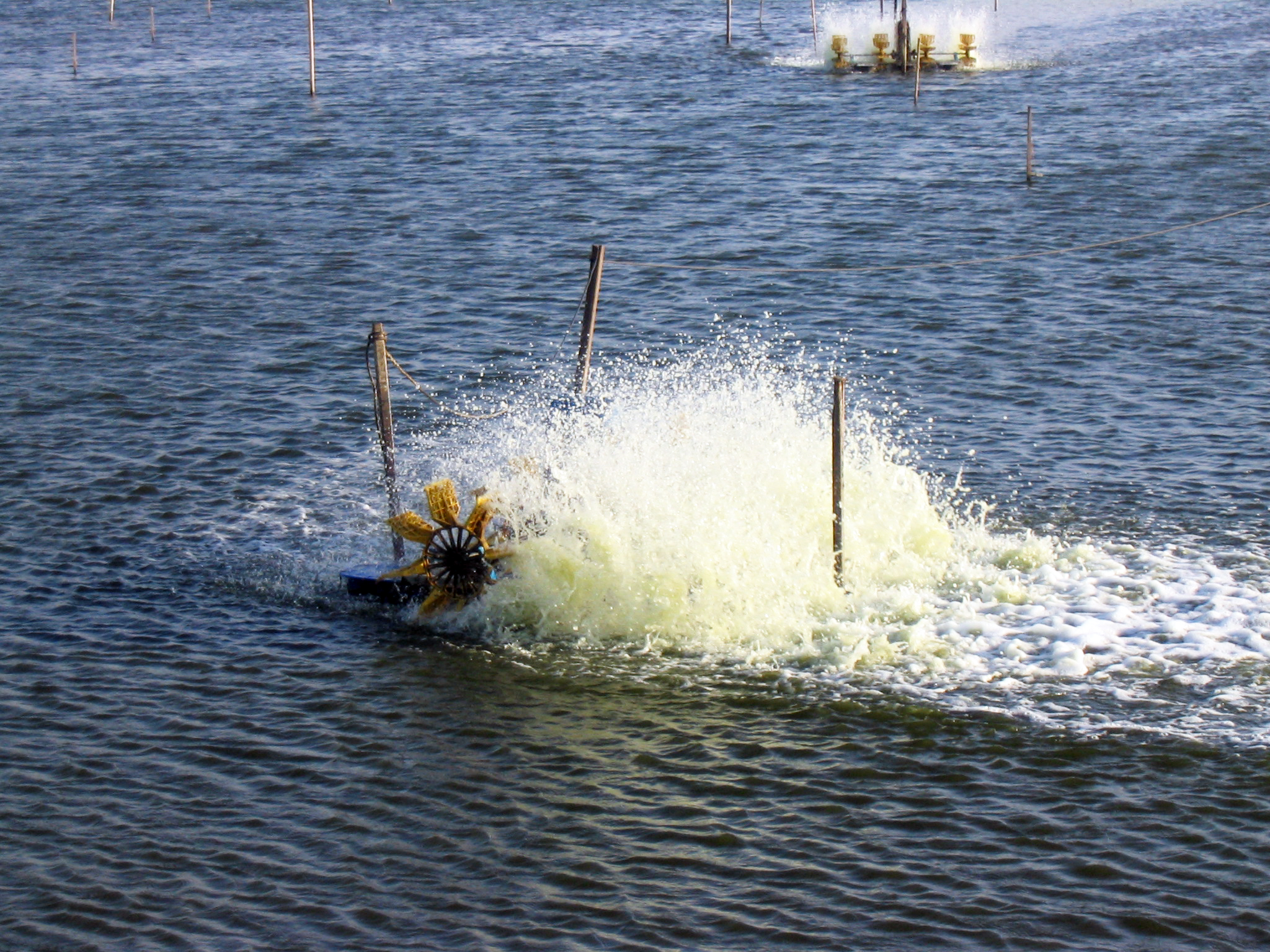 Pond aeration and aerators: Second thoughts « Global ...