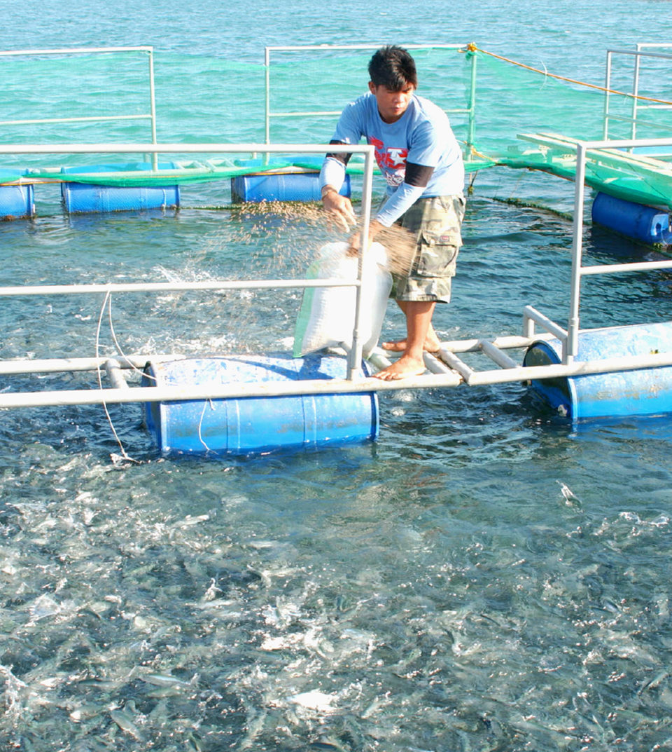 small-scale aquaculture