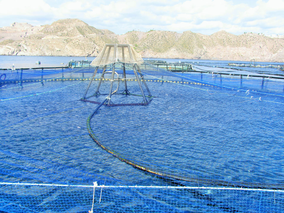marine aquaculture development