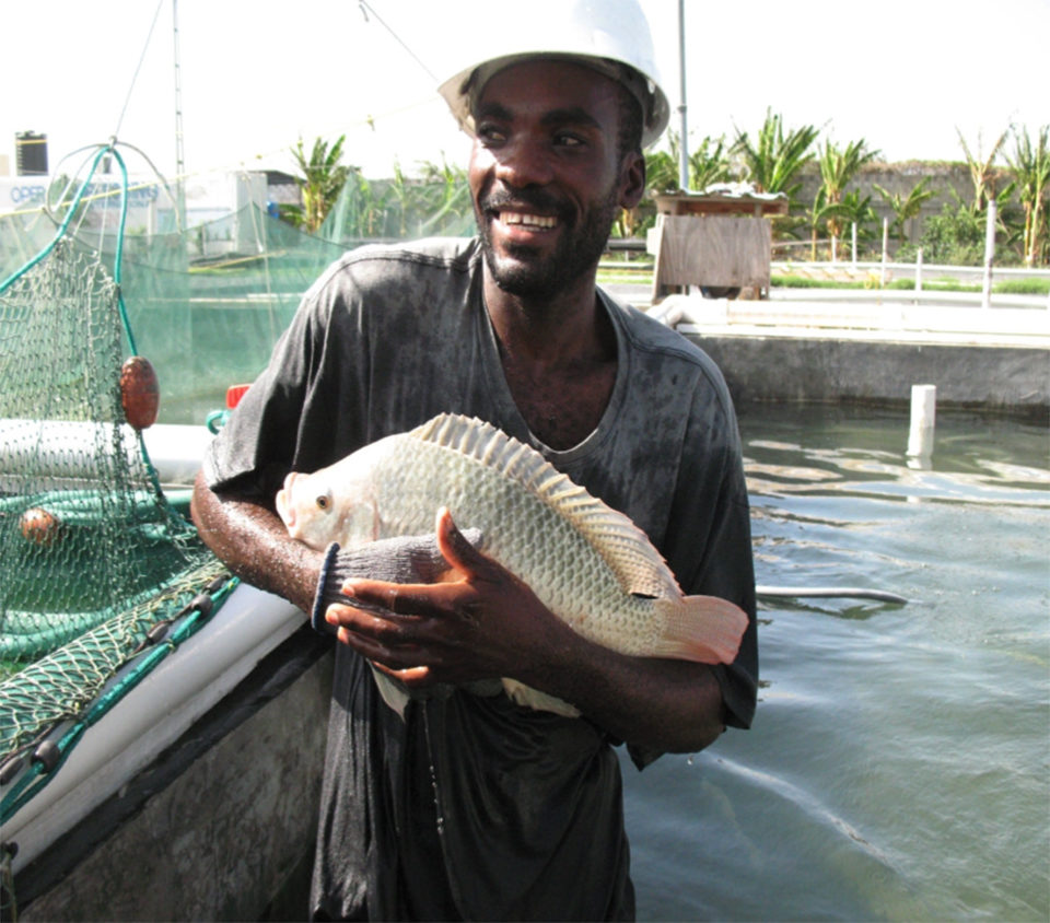 Haiti's hatchery of hope - Responsible Seafood Advocate