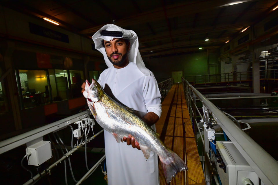 salmon farm in Dubai